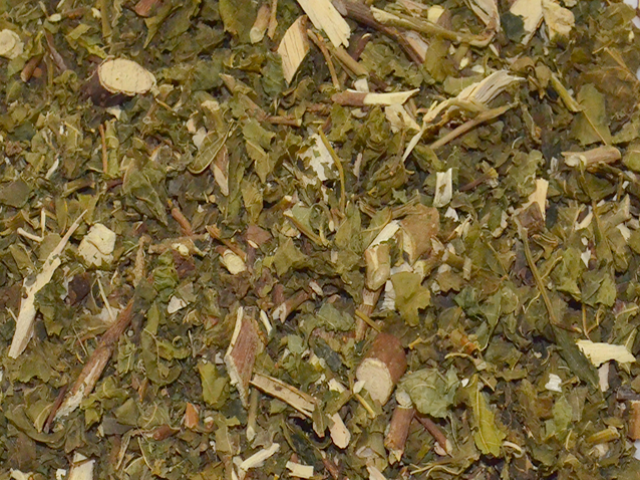 Amoreira Branca