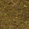 Menta