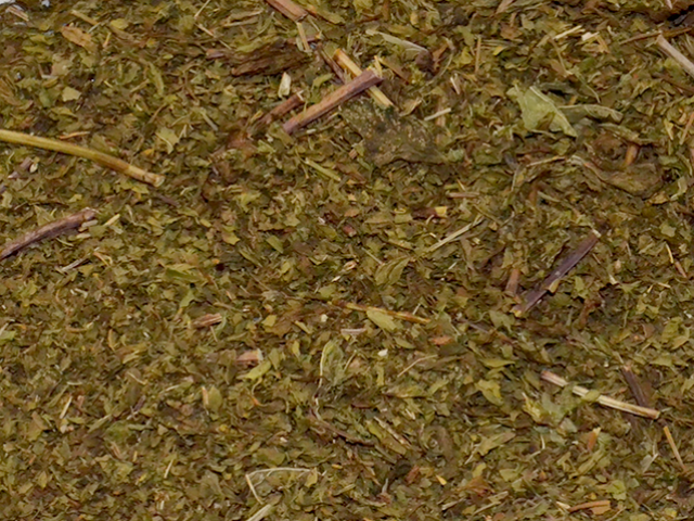 Menta