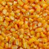 Canjica Vermelha 