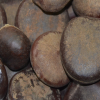 Castanha da �ndia