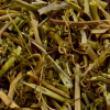 Maracuj� Folhas e Talos