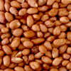 Amendoim Branco