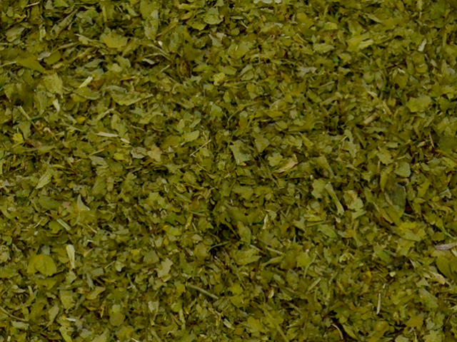 Coentro Verde Desidratado