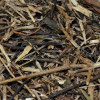 Gerb�o