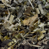 Chap�u de Couro