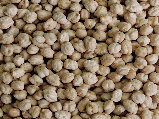 Gr�o de Bico 