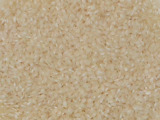 Arroz Arb�rio