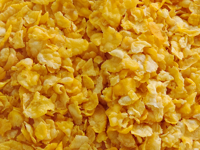Corn Flakes sem a��car