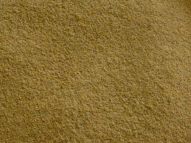 Cardamomo P�