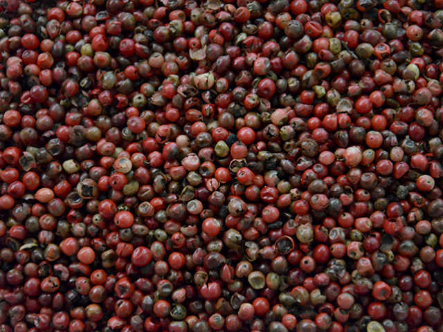 Pimenta Rosa