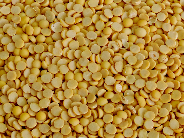 Soja Partida 