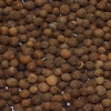 Pimenta S�ria (Jamaica) Gr�o