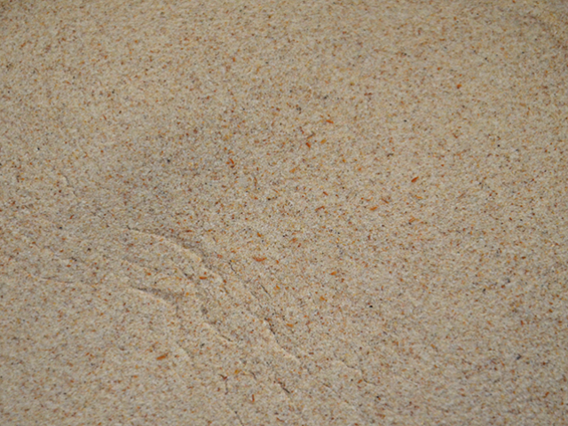 Psyllium P�