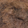 Cabelo de Milho