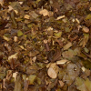 Ch� Verde Banch�