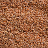 Arroz Integral Cateto Vermelho