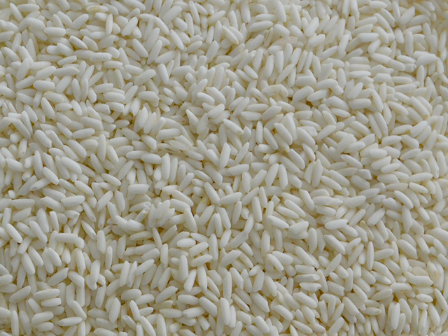Arroz Moti