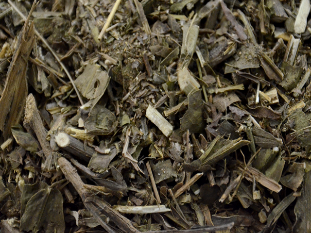 Carqueja