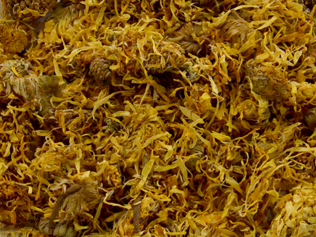Cal�ndula