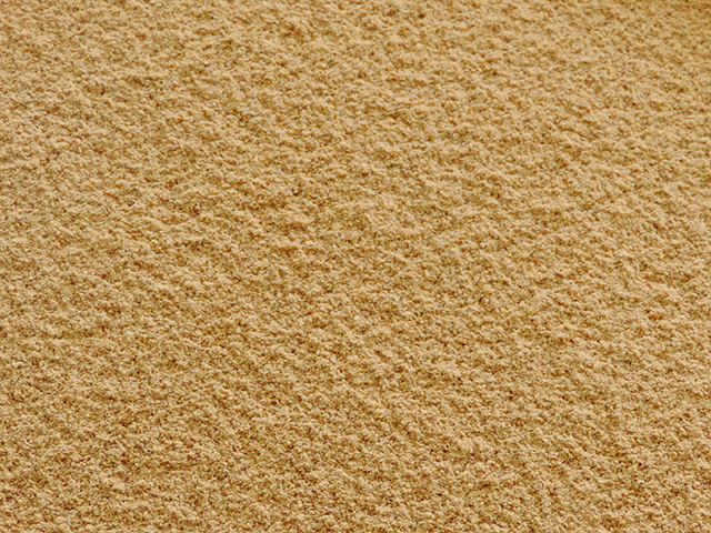 Farinha de Soja Torrada