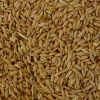 Arroz Cateto com Casca