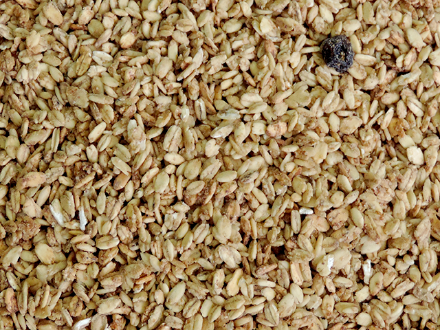 Granola sem A��car 