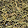 Verbena