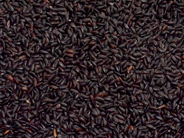 Arroz Preto 