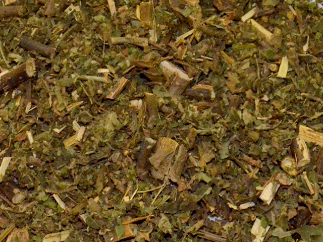 Assa peixe