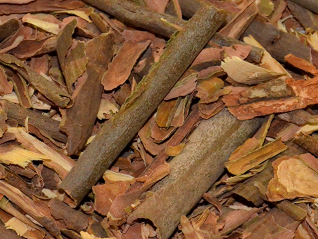 Pau de Ferro