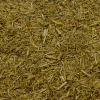 Ginseng Raiz