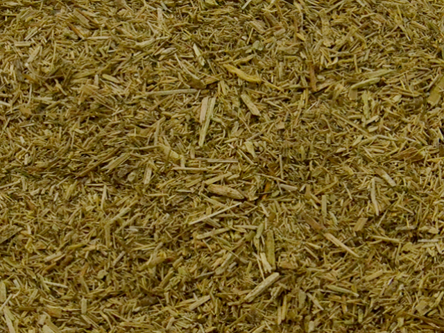 Ginseng Raiz