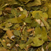 Pata de Vaca