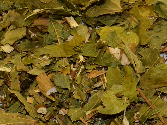 Pata de Vaca