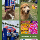 Dia Munidal dos Animais 2025