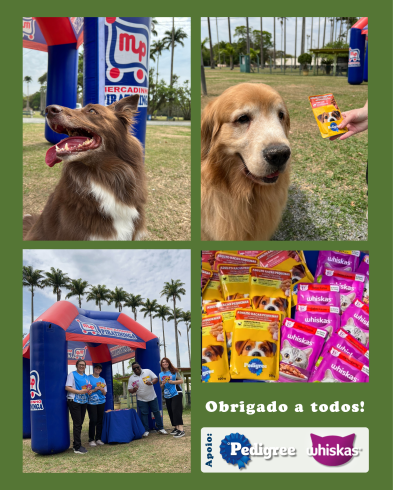 Dia Munidal dos Animais 2025