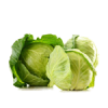 Repolho Verde
