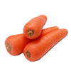 Cenoura