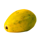 Mam�o Papaya
