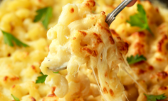 Macarronese de Natal Fant�stico