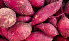 Pudim de Batata Doce