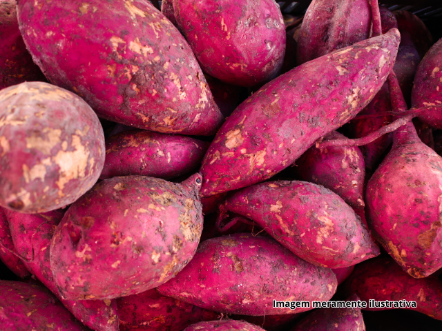 Pudim de Batata Doce