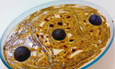 Pav� de Doce de Leite